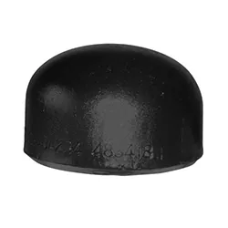 Cap-SCH40