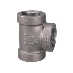 Te NPT CL300